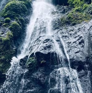 Meet your Posher, Dylan